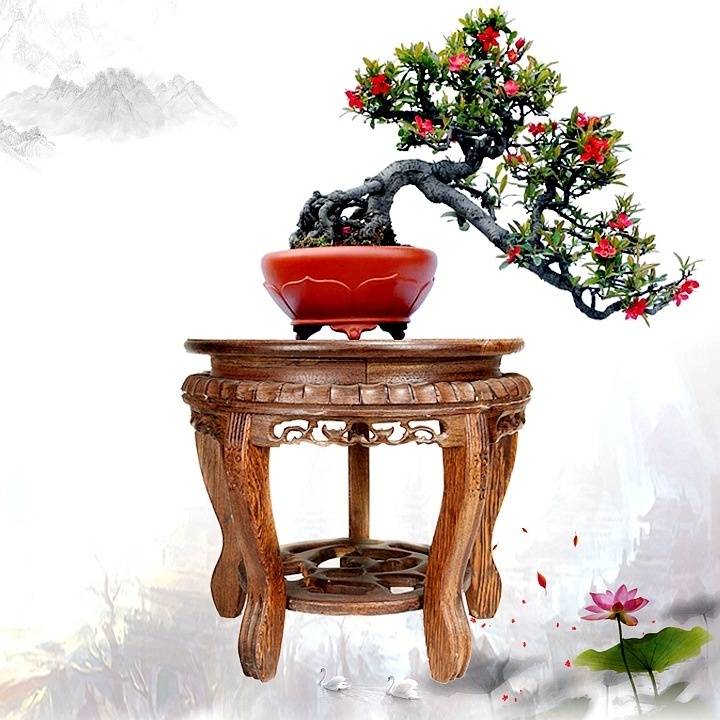 Raised Flowerpot Fish Tank Stone Base Round Tray